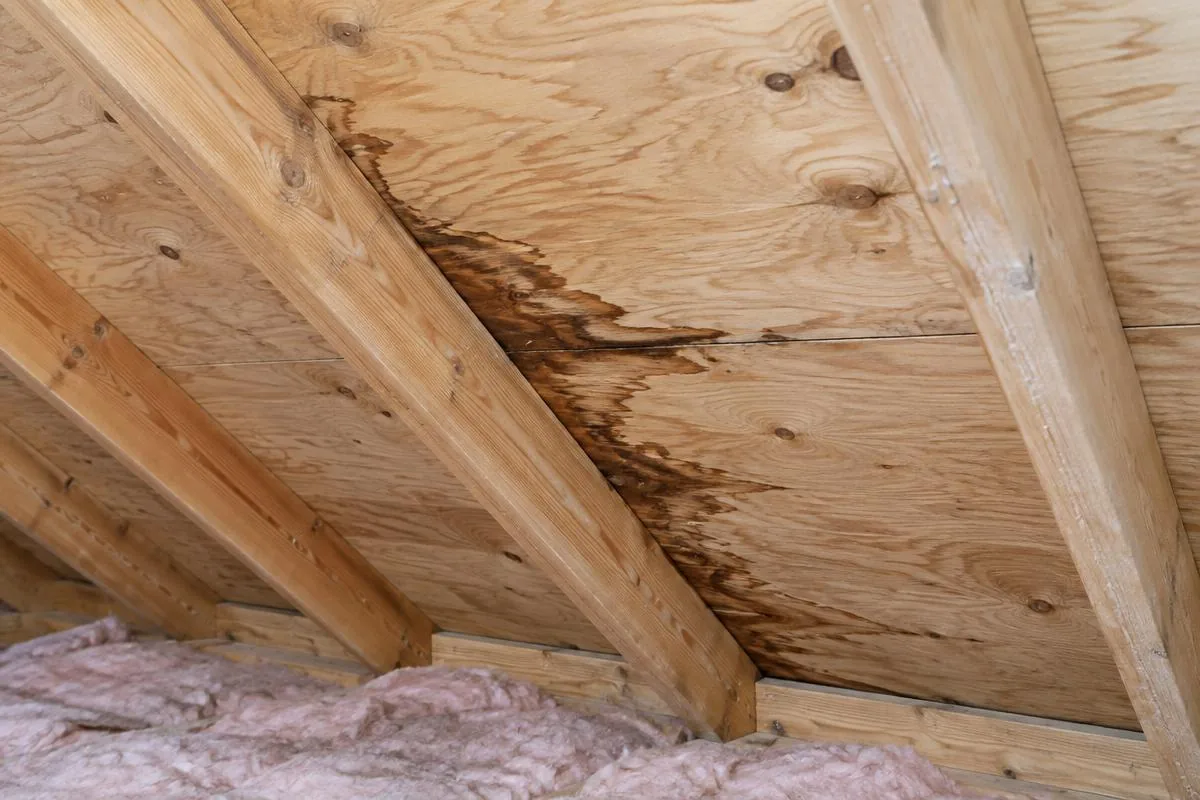 Brown water staining on attic roof decking along a plywood seam next to wooden rafters