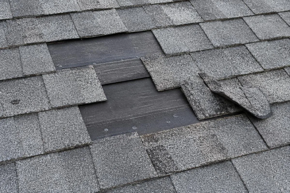 Missing asphalt shingles expose dark underlayment beside a curled, damaged shingle